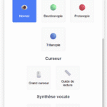 Widget d'accessibilité 2