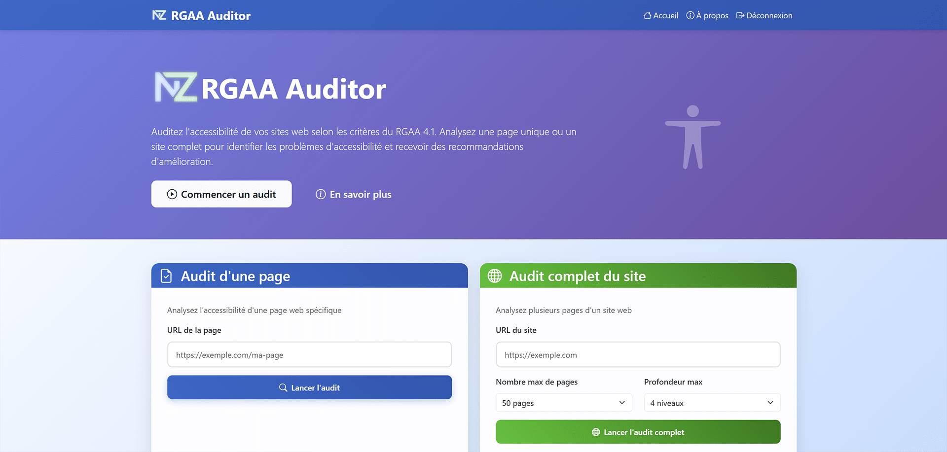 RGAA Auditor page principale