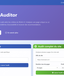RGAA Auditor page principale