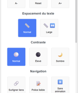 Widget d'accessibilité 1